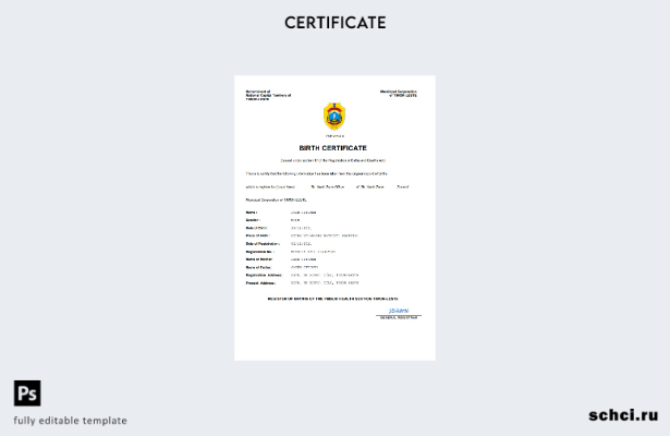 цифровая загрузка свидетельства о рождении Восточного Тимора в формате Word и PD